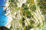 Capri - do skaly vytesan cesta Via Krupp